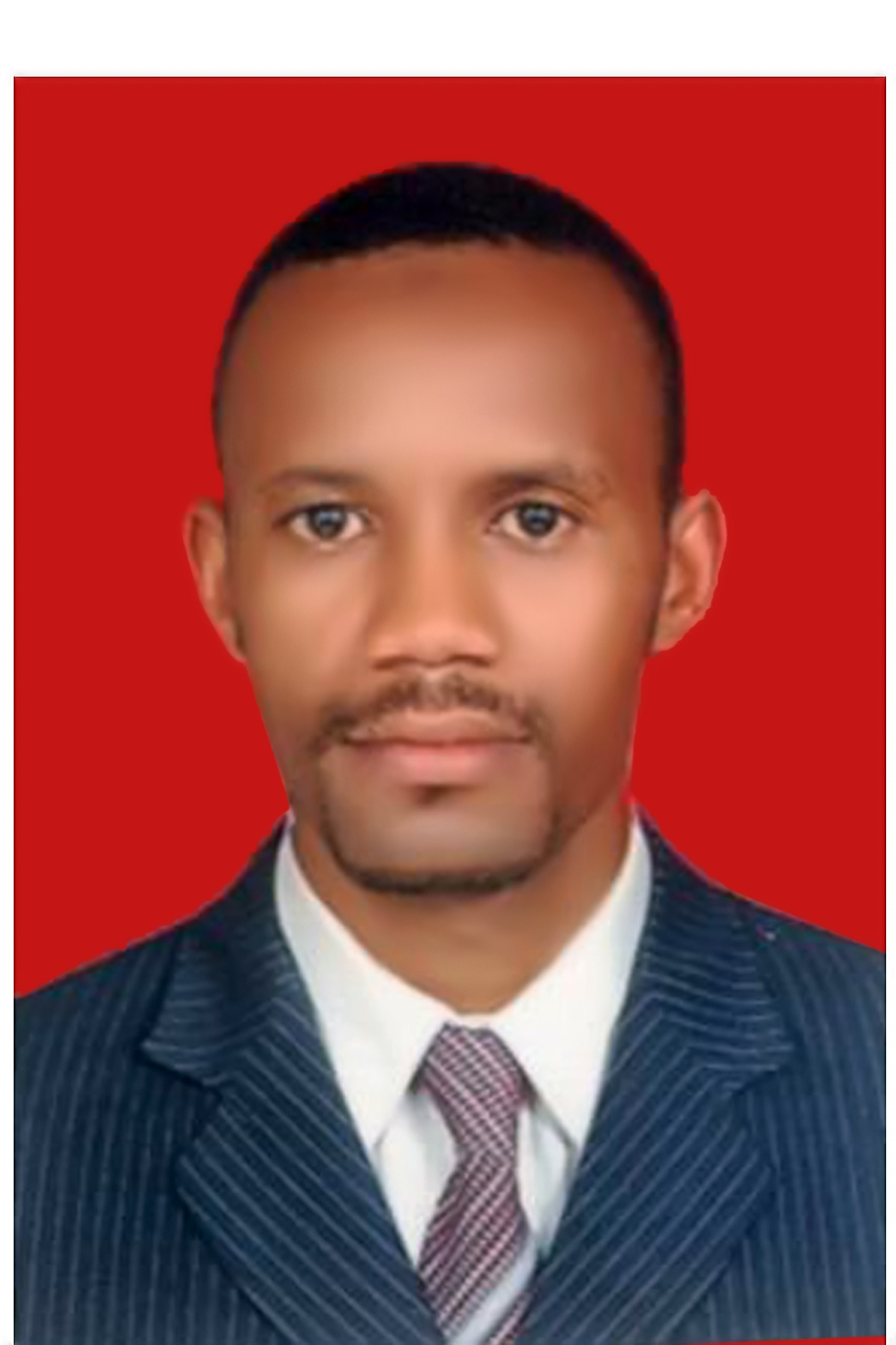 Abdelhakam Esmaeil Mohamed Ahmed